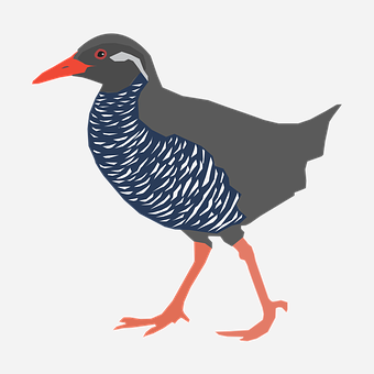 Illustrated Blue Feathered Bird PNG