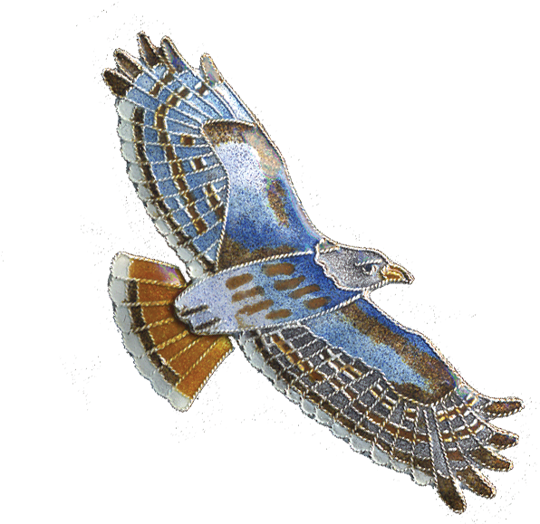 Illustrated Blue Hawkin Flight PNG