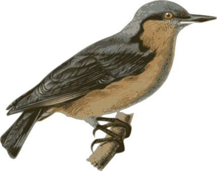Illustrated Brown Bird Perched PNG