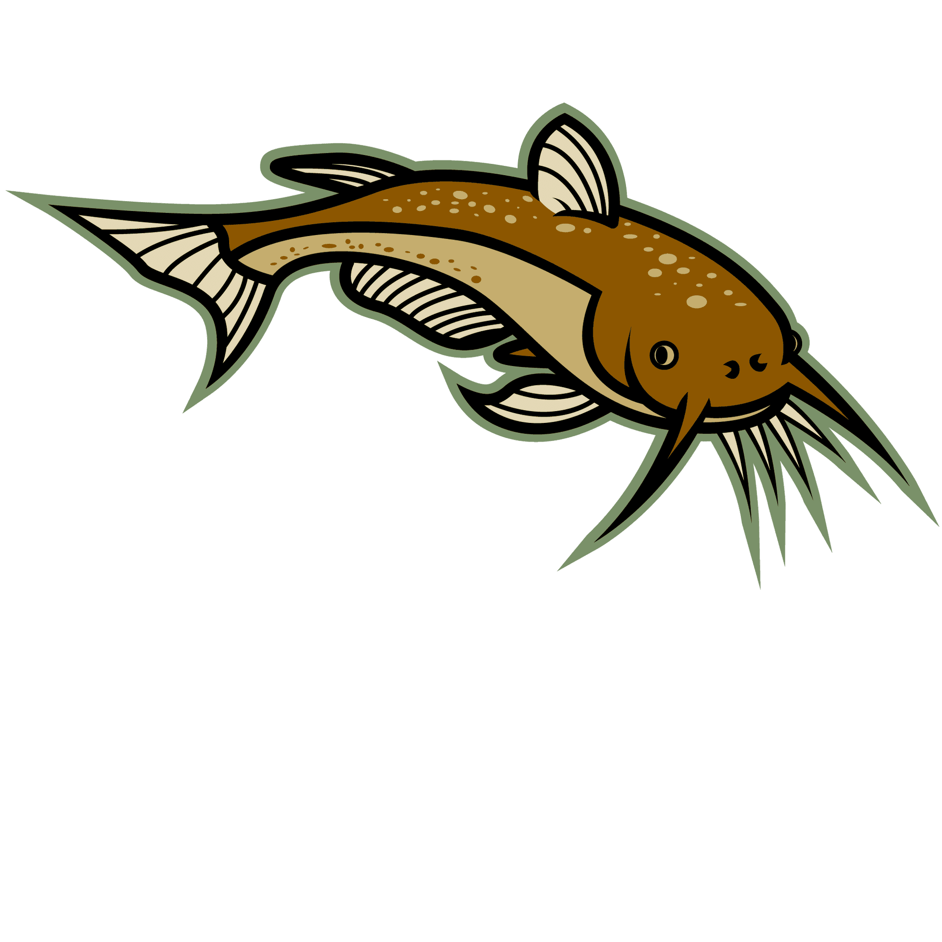Illustrated Brown Catfish Graphic PNG