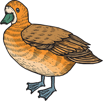 Illustrated Brown Duck Graphic PNG