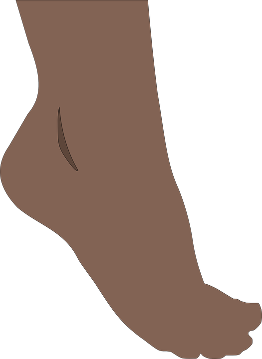 Illustrated Brown Foot Side View.png PNG