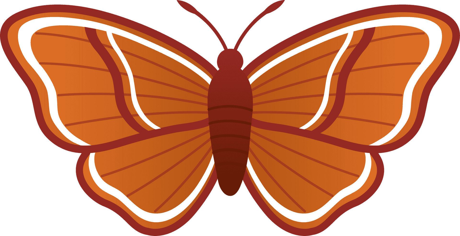 Illustrated Brown Moth Graphic PNG