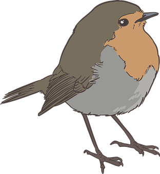 Illustrated Brownand Orange Bird PNG
