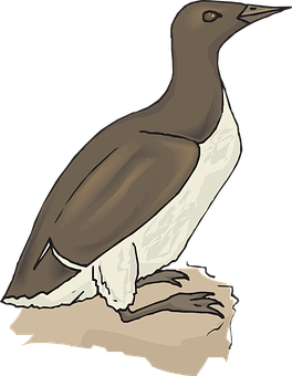 Illustrated Brownand White Bird PNG