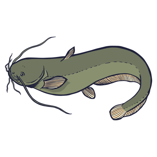 Download Illustrated Catfish Graphic | Wallpapers.com