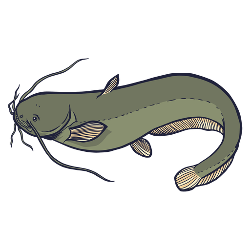 Illustrated Catfish Graphic PNG