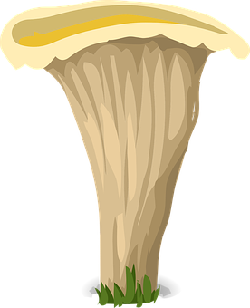 Illustrated Chanterelle Mushroom PNG