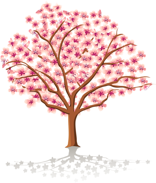 Illustrated Cherry Blossom Tree PNG