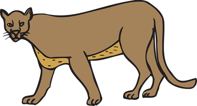 Illustrated Cougar Walking Side View PNG