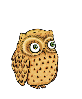 Illustrated Cute Owl PNG