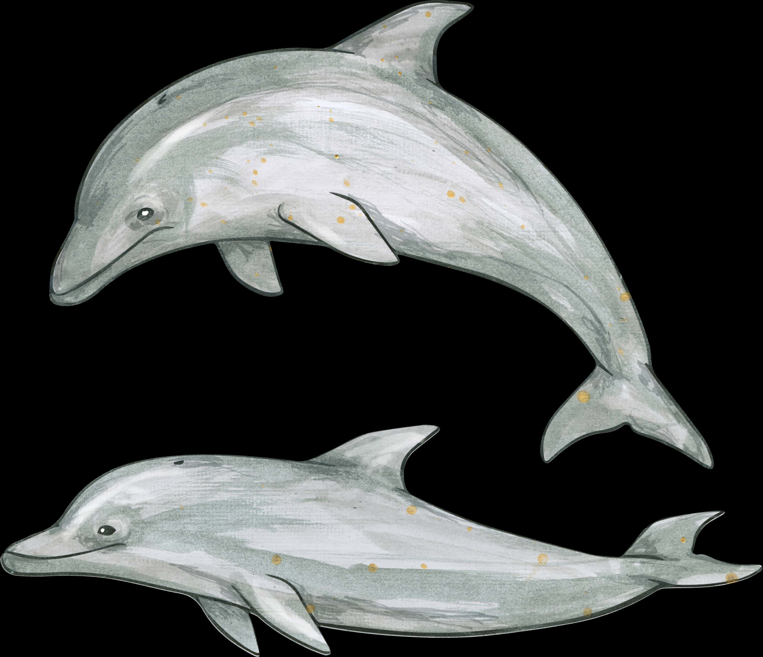 Illustrated Dolphins Artwork PNG