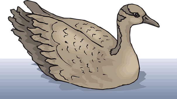 Illustrated Duckon Water PNG