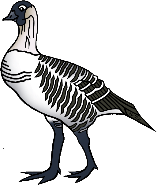 Illustrated Goose Graphic PNG