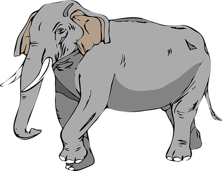 Illustrated Gray Elephant Graphic PNG