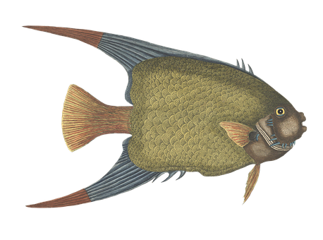 Illustrated Green Fish Black Background PNG