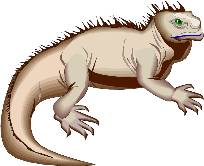 Illustrated Green Iguana.png PNG