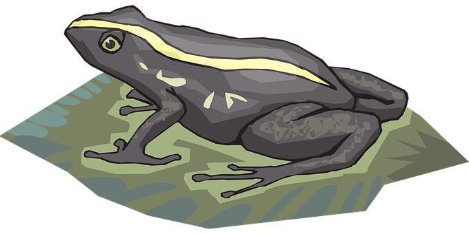 Illustrated Grey Frog On Leaf PNG