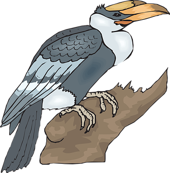 Illustrated Hornbill Perchedon Branch PNG