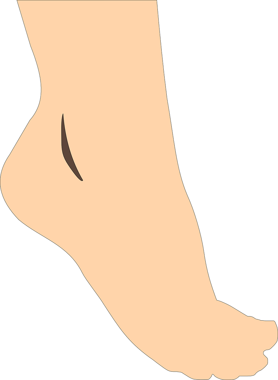 Illustrated Human Foot Side View.png PNG