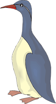 Illustrated Inquisitive Seabird PNG
