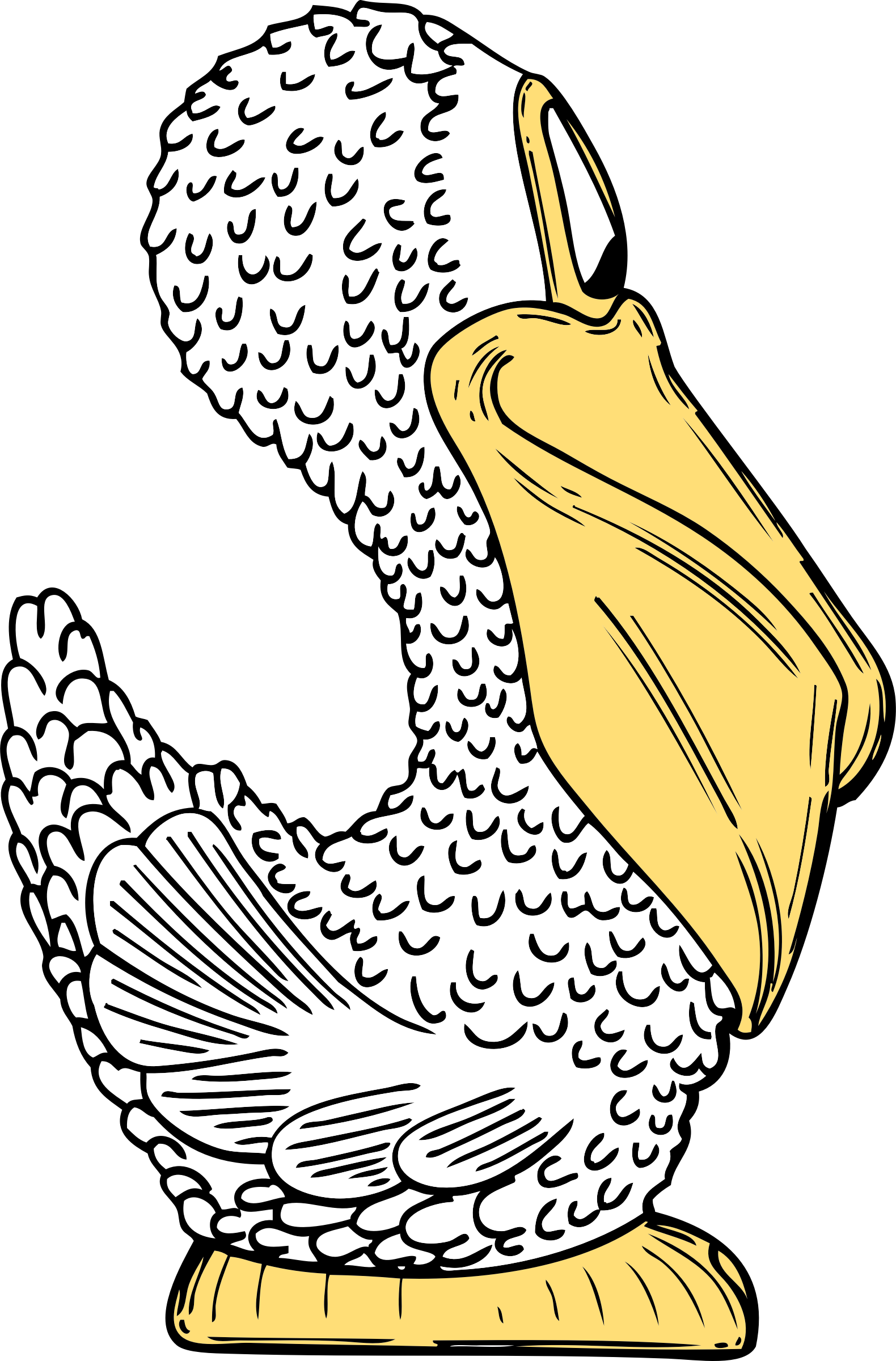 Illustrated Pelican Profile PNG