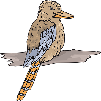 Illustrated Perched Bird PNG