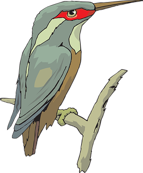 Illustrated Perched Bird Graphic PNG