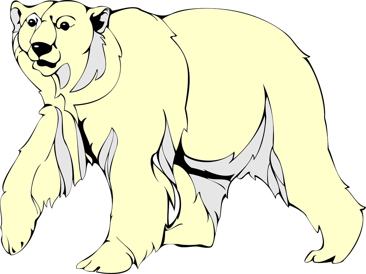 Illustrated Polar Bear Walking PNG