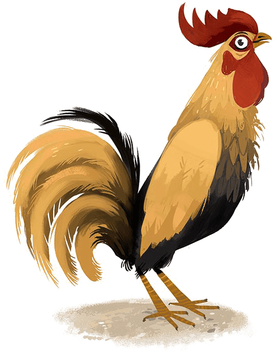 Illustrated Proud Rooster.png PNG