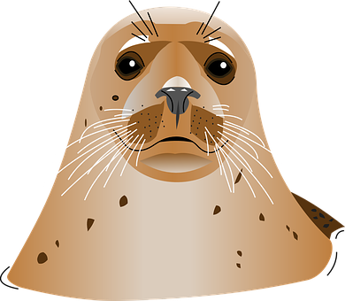 Illustrated Seal Portrait PNG