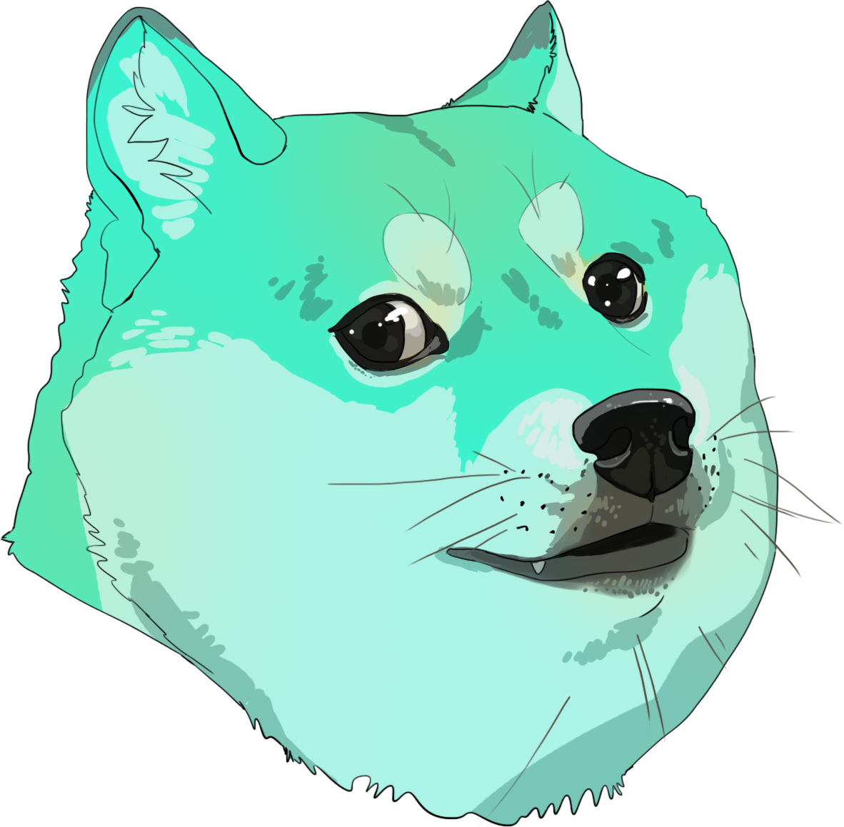 Illustrated Shiba Inu Portrait PNG