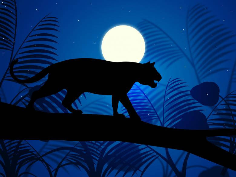 Illustrated Silhouette Of Tiger Under Moonlight Wallpaper