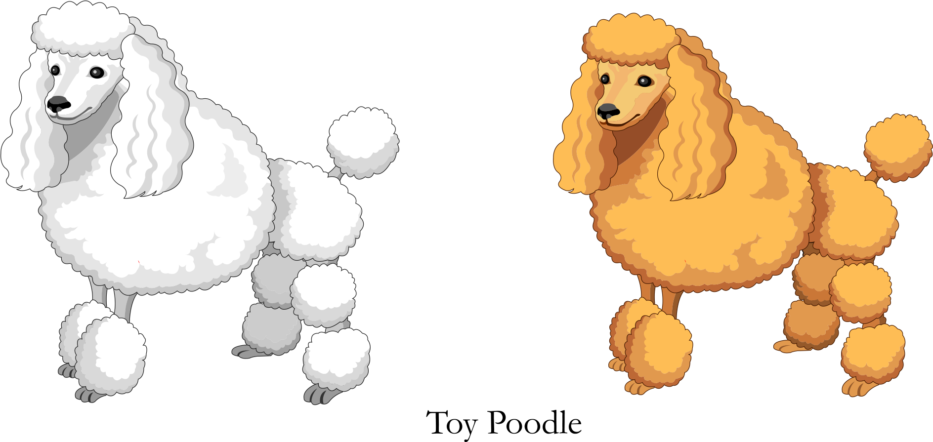 Illustrated Standardand Toy Poodles SVG