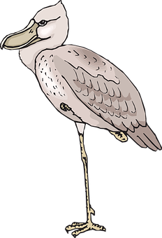Illustrated Standing Bird PNG