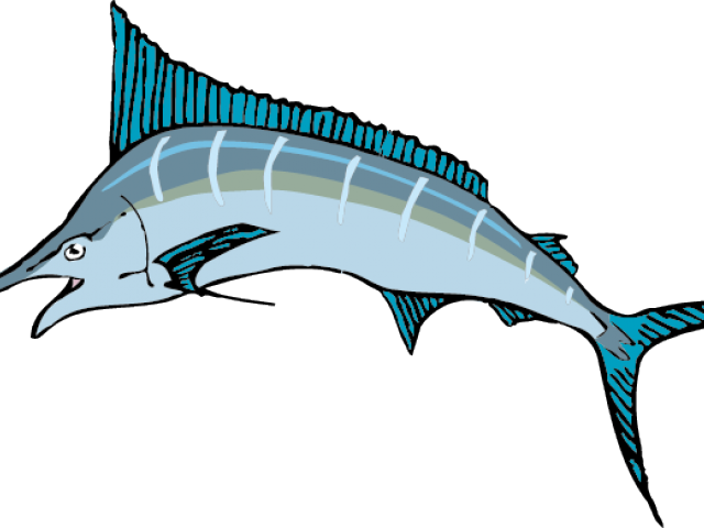 Illustrated Swordfish Graphic PNG