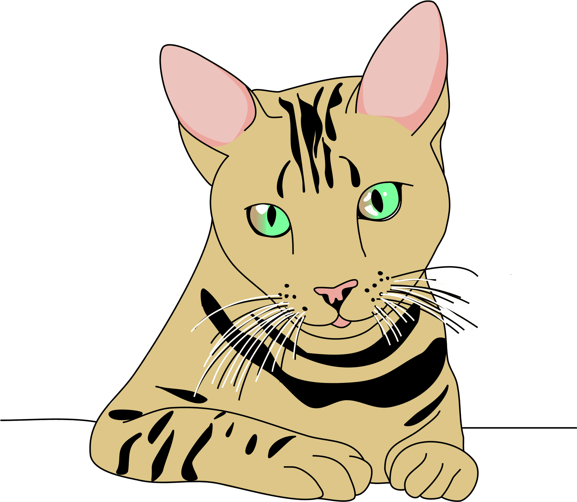 Illustrated Tabby Cat Graphic PNG