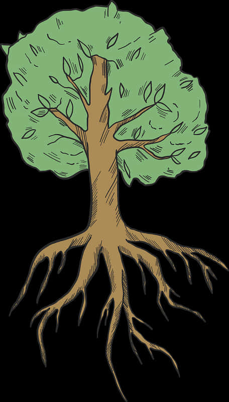 Illustrated Treewith Visible Roots PNG