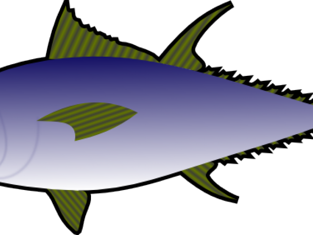 Illustrated Tuna Fish Graphic PNG