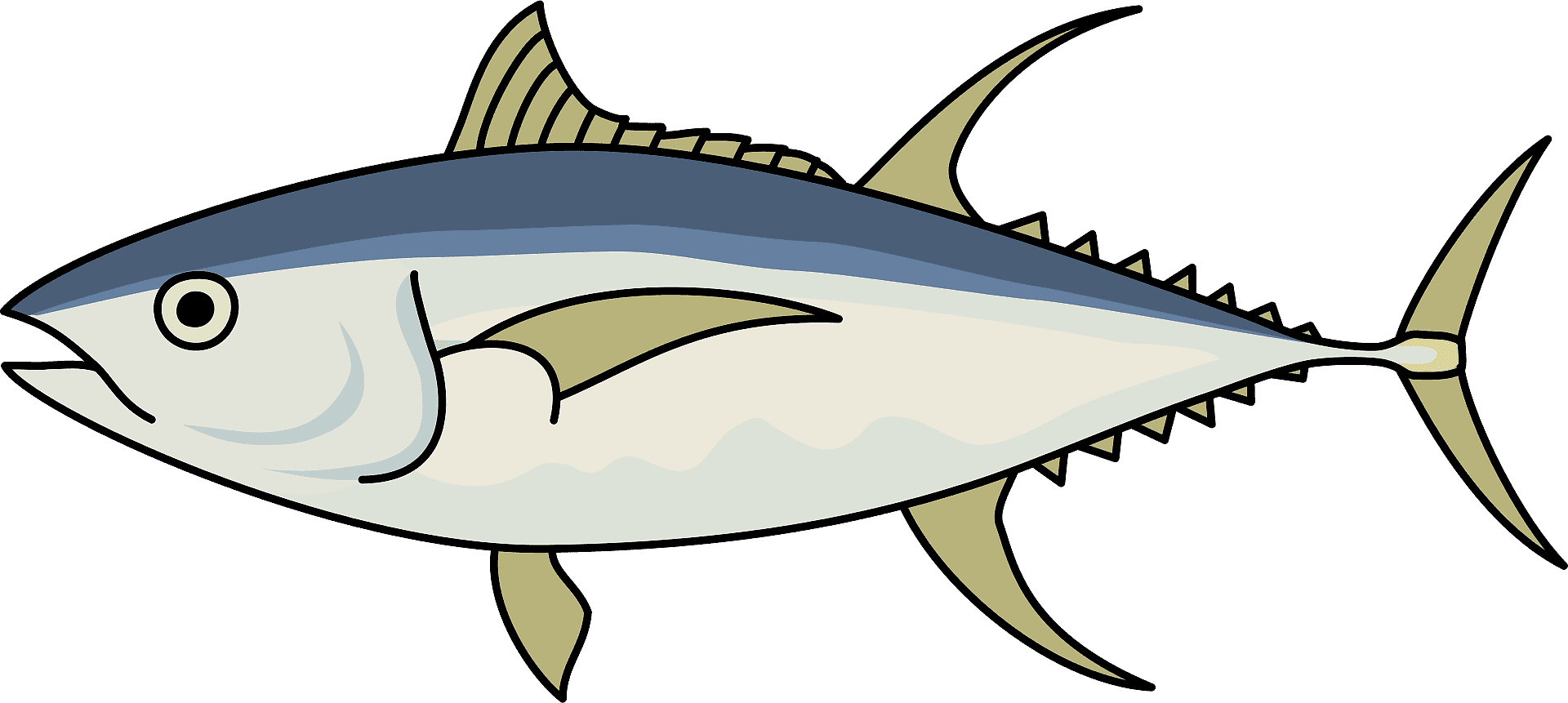 Illustrated Tuna Fish PNG