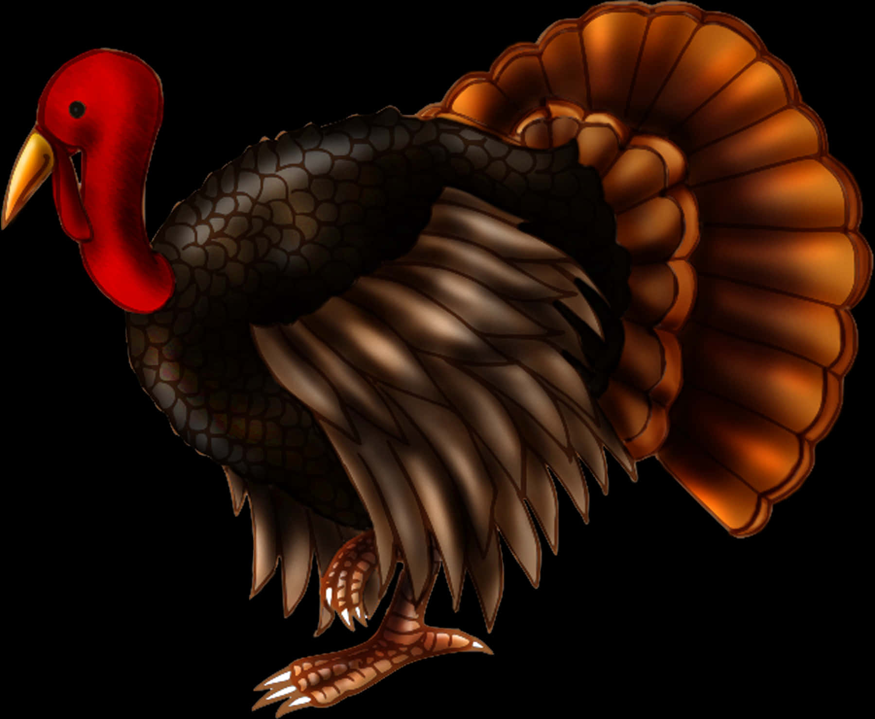Illustrated Turkey Bird PNG