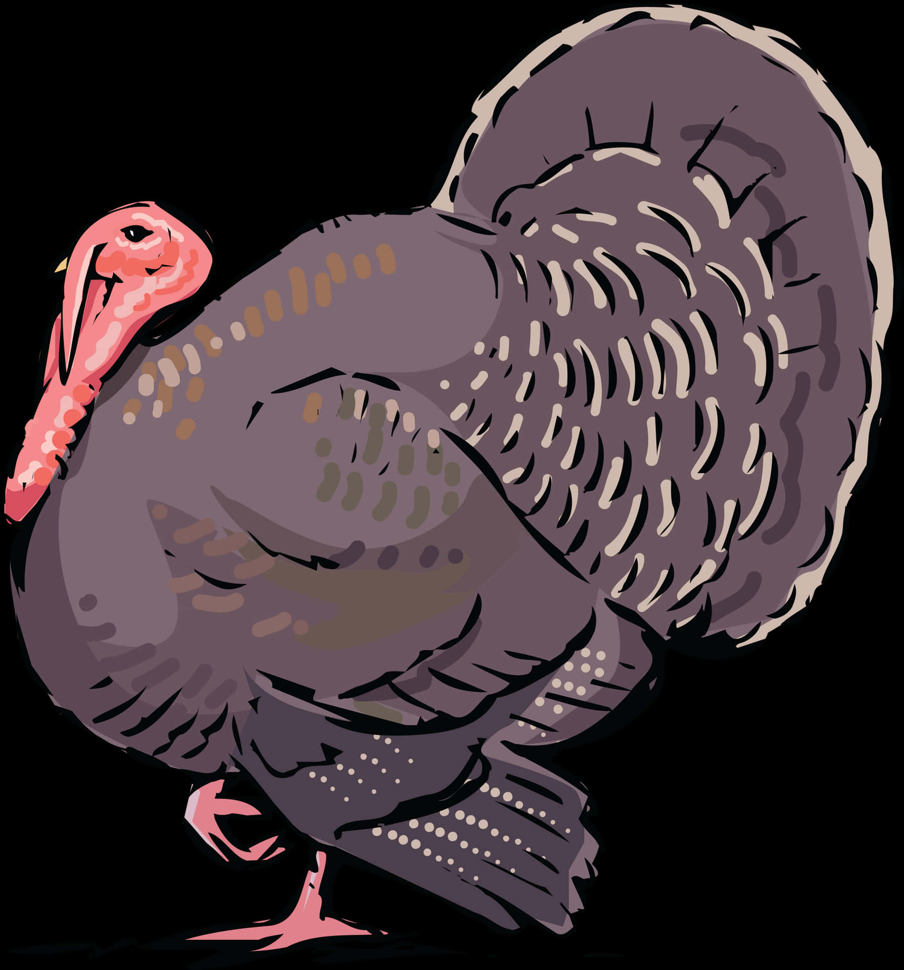 Illustrated Turkey Bird PNG