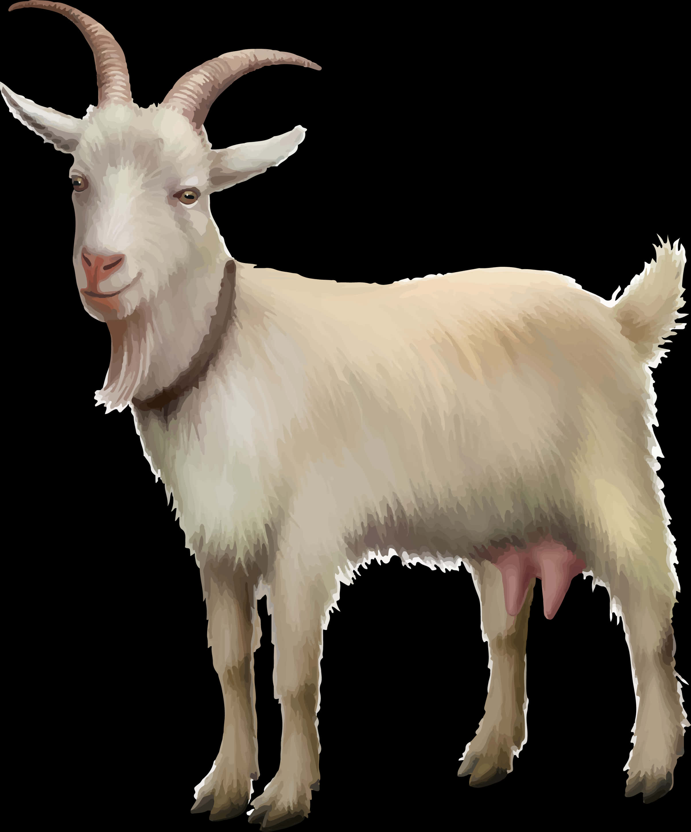 Illustrated White Goat Portrait PNG