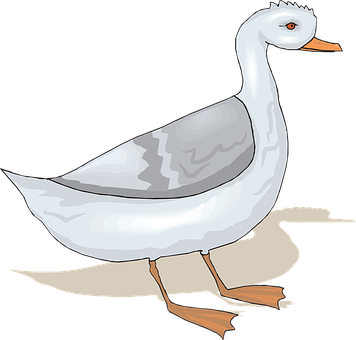 Illustrated White Goose Graphic PNG