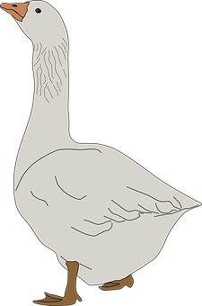 Illustrated White Goose PNG