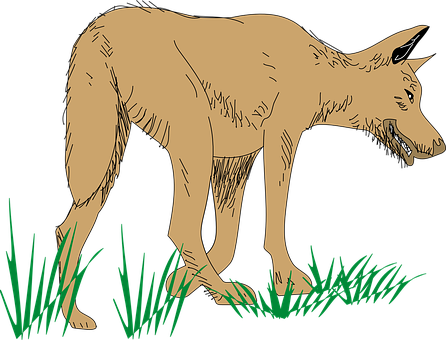 Illustrated Wolfin Grass PNG