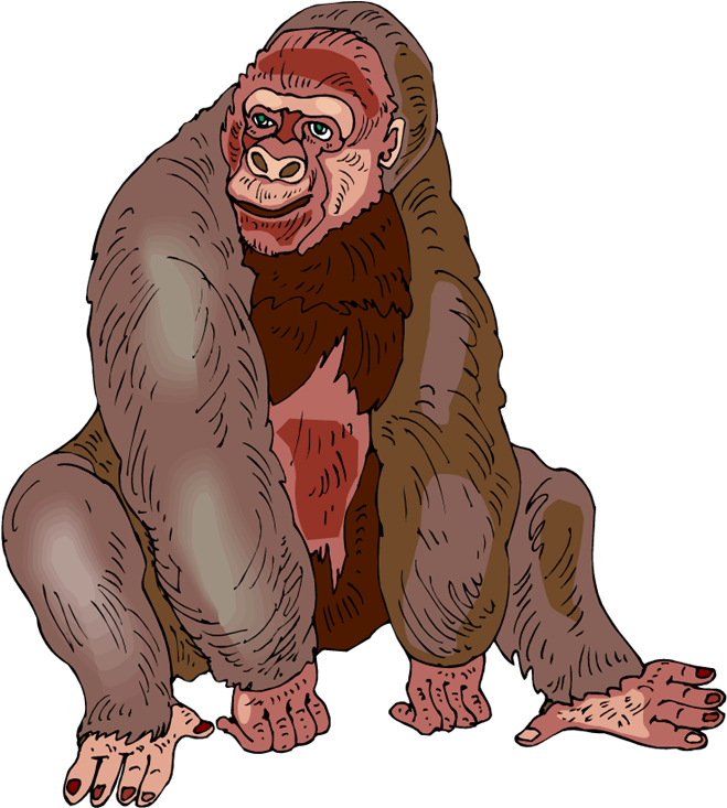 Illustrated_ Gorilla_ Portrait PNG
