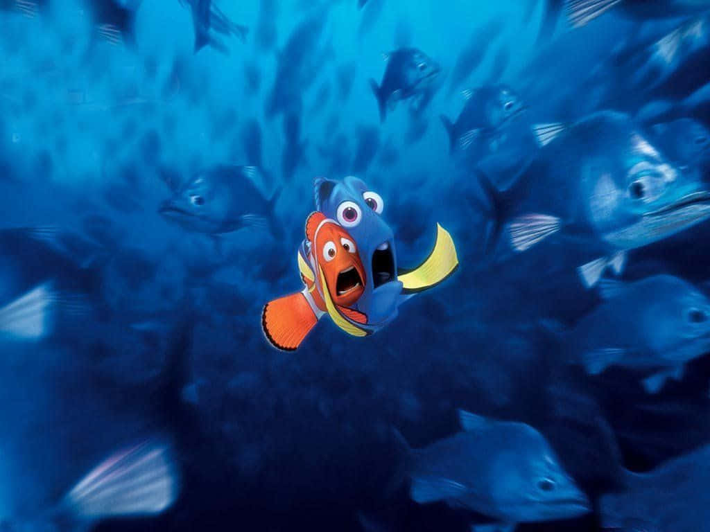 Ilviaggio Avventuroso Di Nemo, Marlin E Dory