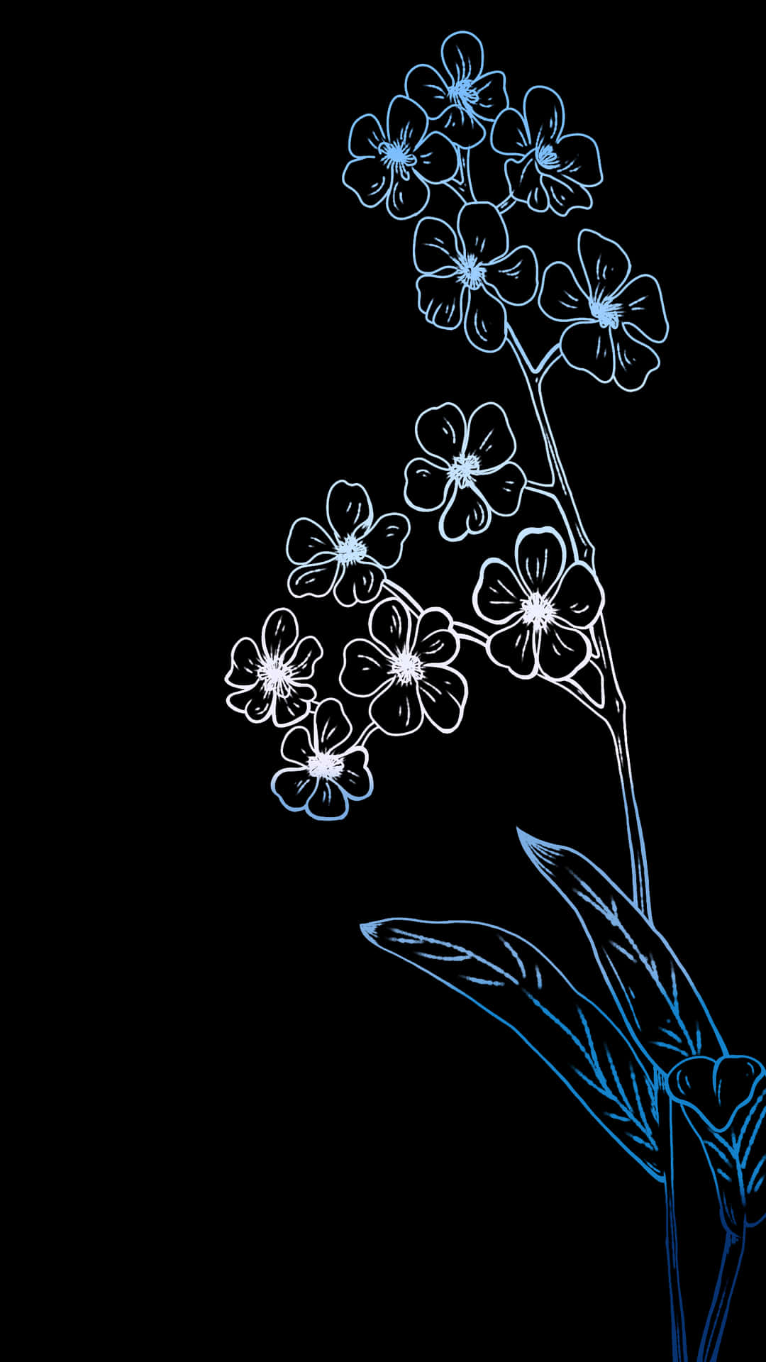 A Black Background With A Blue Flower Wallpaper