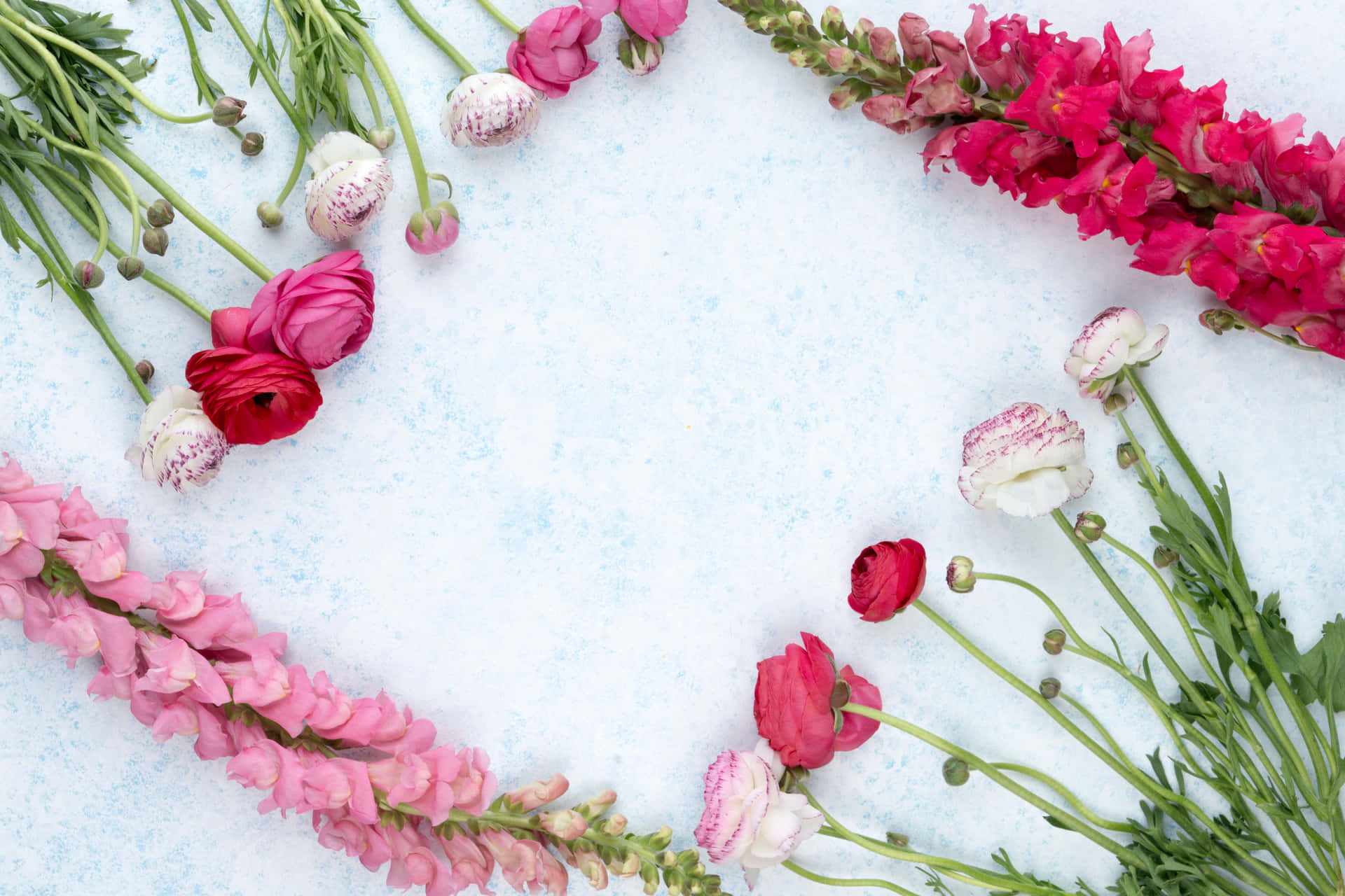 Einstrauß Rosa Und Weißer Blumen, Angeordnet In Herzform.